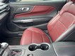2024 Ford Mustang GT Premium thumbnail image 11