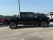 2025 Ford F-150 STX thumbnail image 02