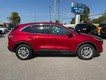 2020 Ford Escape SE thumbnail image 02