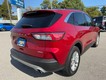 2020 Ford Escape SE thumbnail image 03