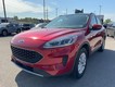 2020 Ford Escape SE thumbnail image 08