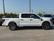 2025 Ford F-150 STX thumbnail image 02