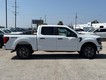 2025 Ford F-150 STX thumbnail image 02