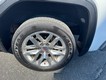 2020 GMC Sierra 1500 4WD SLE Double Cab thumbnail image 06