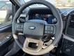 2025 Ford F-150 XL thumbnail image 07
