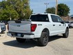 2025 Ford F-150 STX thumbnail image 03
