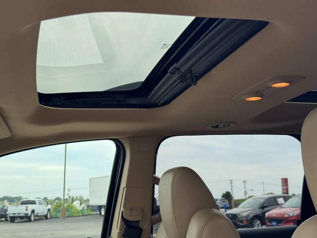 View 26