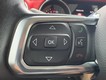 2018 Jeep Wrangler Unlimited Rubicon thumbnail image 16