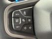 2025 Ford Bronco Badlands thumbnail image 08