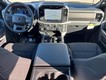2025 Ford F-150 XLT thumbnail image 07