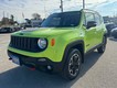 2017 Jeep Renegade 4WD Trailhawk thumbnail image 07