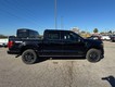 2025 Ford F-150 Platinum thumbnail image 02