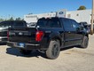 2025 Ford F-150 Platinum thumbnail image 03