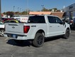 2025 Ford F-150 Platinum thumbnail image 03