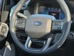 2025 Ford F-150 Platinum thumbnail image 07