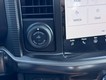 2025 Ford F-150 Platinum thumbnail image 19