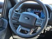 2025 Ford F-150 XLT thumbnail image 08