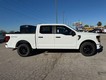2025 Ford F-150 STX thumbnail image 02