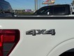 2025 Ford F-150 STX thumbnail image 04
