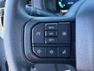 2025 Ford F-150 STX thumbnail image 13
