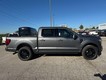 2025 Ford F-150 Platinum thumbnail image 02