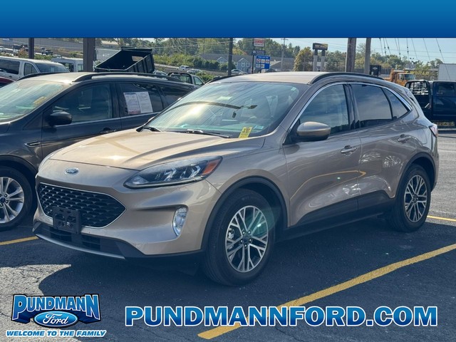 2020 Ford Escape SEL at Pundmann Ford in St. Charles MO