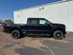 2026 Ford Super Duty F-250 SRW LARIAT thumbnail image 02
