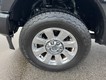 2020 Ford Super Duty F-250 SRW 4WD Platinum Crew Cab thumbnail image 07