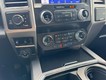 2020 Ford Super Duty F-250 SRW 4WD Platinum Crew Cab thumbnail image 19