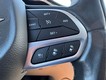 2022 Chrysler Pacifica Limited thumbnail image 19