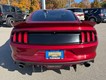 2016 Ford Mustang EcoBoost Premium thumbnail image 04