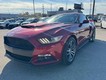 2016 Ford Mustang EcoBoost Premium thumbnail image 08