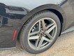 2026 Ford Mustang EcoBoost Premium thumbnail image 04