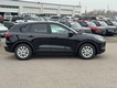 2026 Ford Escape Active thumbnail image 02