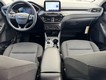 2026 Ford Escape Active thumbnail image 06