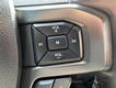 2020 Ford F-150 4WD XLT SuperCrew thumbnail image 17