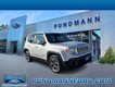2017 Jeep Renegade 2WD Limited thumbnail image 01