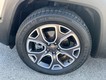 2017 Jeep Renegade 2WD Limited thumbnail image 07