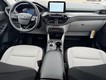 2026 Ford Escape Active thumbnail image 06