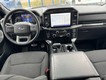 2023 Ford F-150 4WD XLT SuperCrew thumbnail image 10