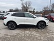 2026 Ford Escape Platinum thumbnail image 02