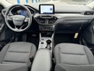 2026 Ford Escape Active thumbnail image 06