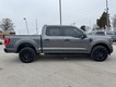 2023 Ford F-150 4WD XLT SuperCrew thumbnail image 02
