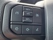 2023 Ford F-150 4WD XLT SuperCrew thumbnail image 17