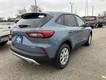 2026 Ford Escape Active thumbnail image 03