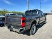2026 Ford Super Duty F-250 SRW XLT thumbnail image 03