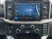 2025 Ford F-150 XLT thumbnail image 07