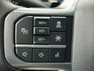 2025 Ford F-150 XLT thumbnail image 11