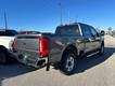 2026 Ford Super Duty F-250 SRW XLT thumbnail image 03