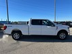 2026 Ford F-150 XLT thumbnail image 02